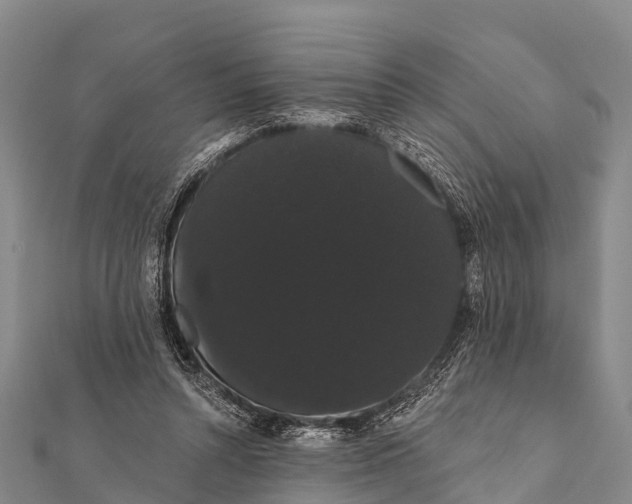 X0000112000352200908241438