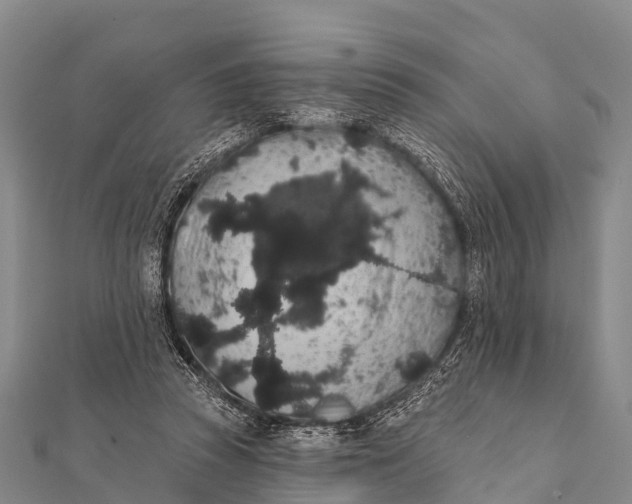 X0000112000353200908241438