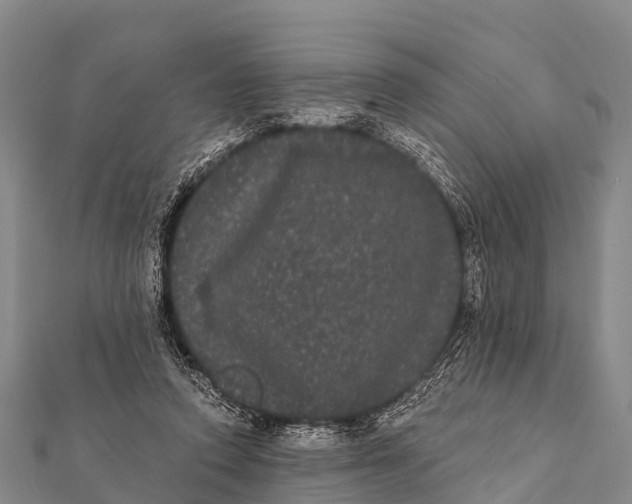 X0000112000354200908241438