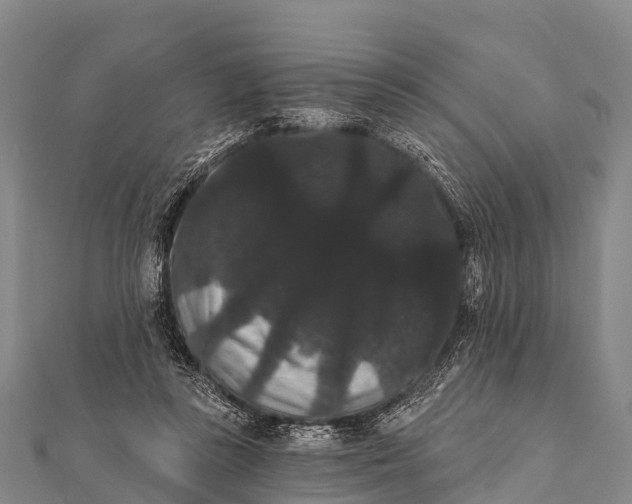 X0000112000355200908241438