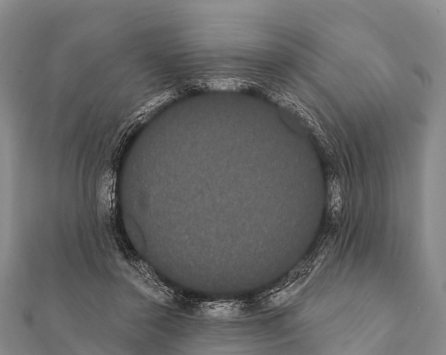 X0000112000356200908241438