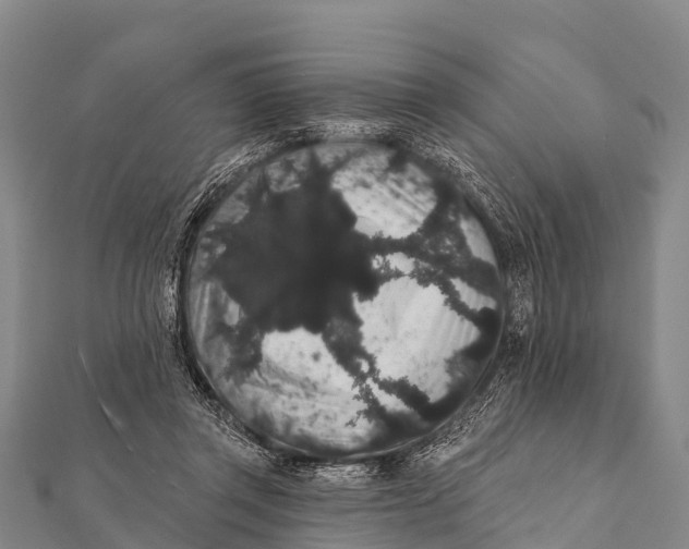 X0000112000357200908241438