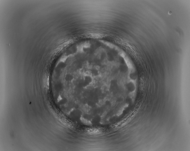 X0000112000358200908241438