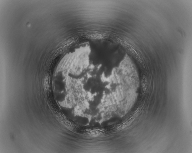 X0000112000359200908241438