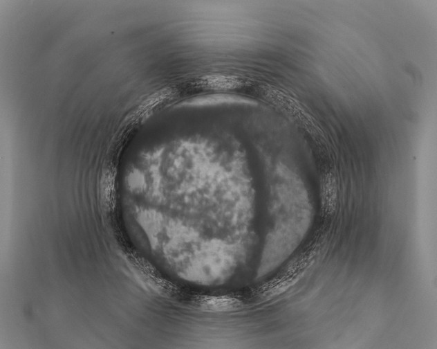 X0000112000360200908241438