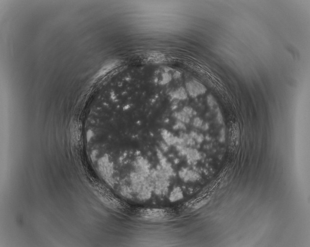 X0000112000361200908241438