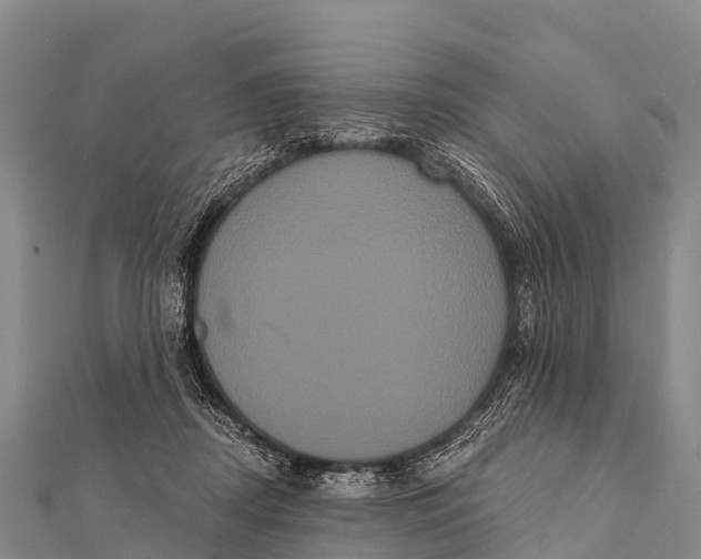 X0000112000362200908241438