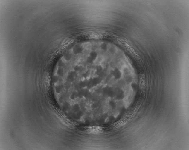 X0000112000363200908241438