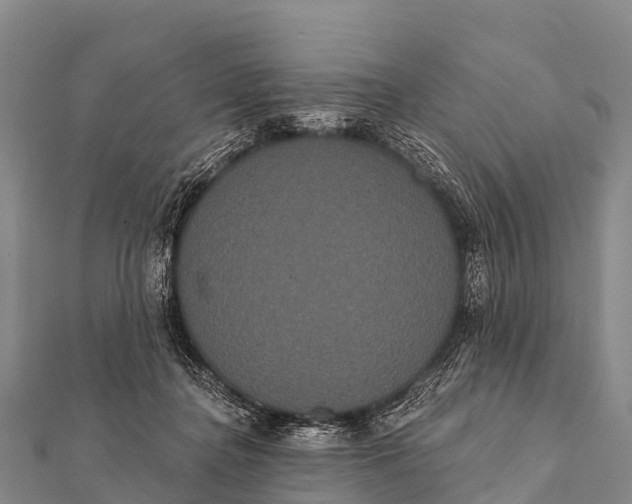 X0000112000364200908241438