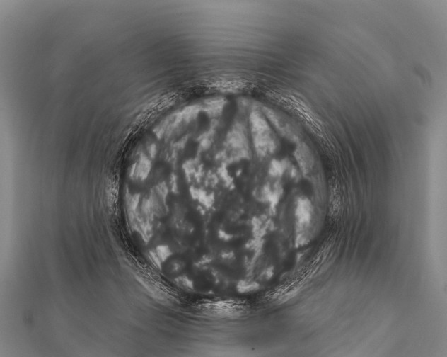 X0000112000365200908241438