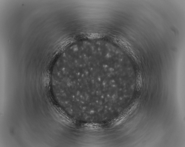 X0000112000367200908241438