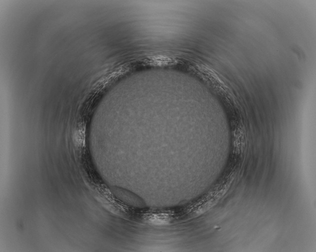 X0000112000368200908241438