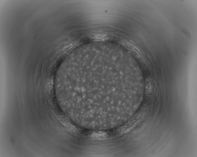 X0000112000369200908241438