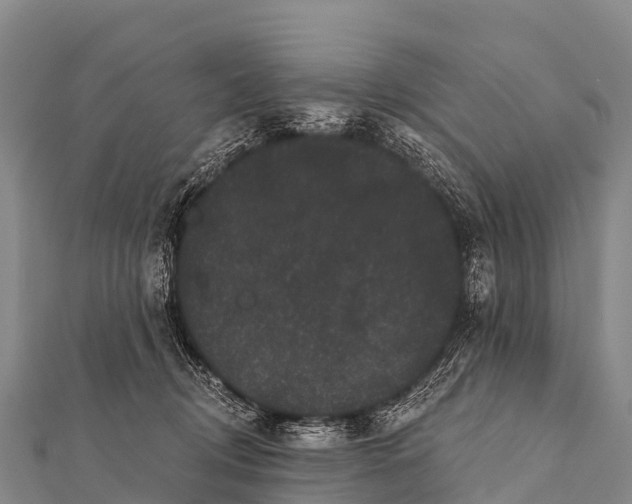 X0000112000370200908241438