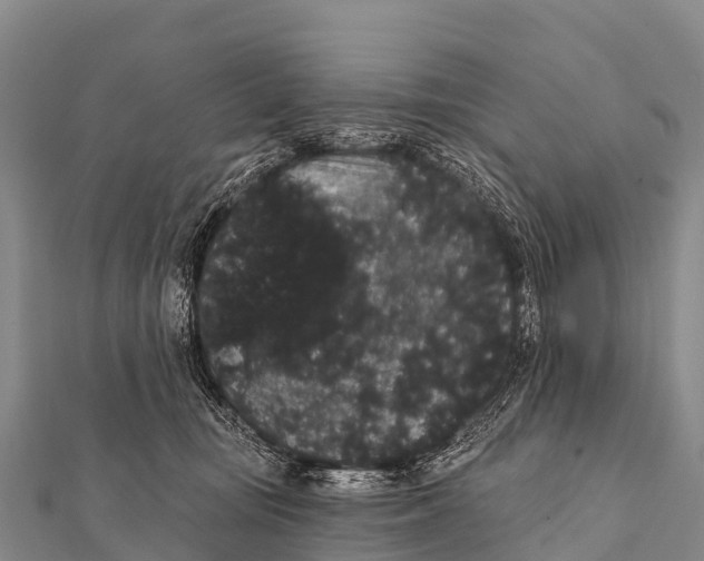 X0000112000371200908241438