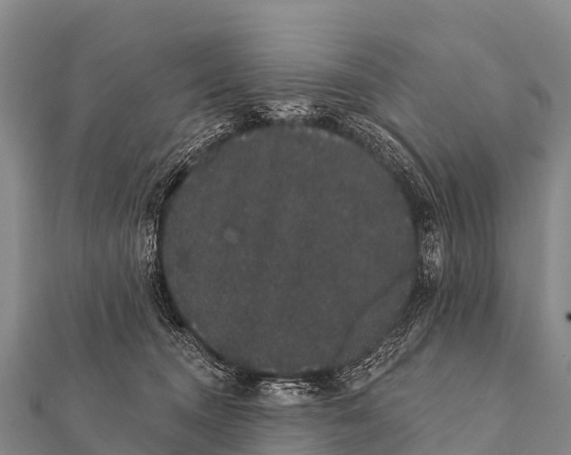 X0000112000372200908241438