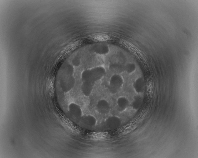 X0000112000373200908241438