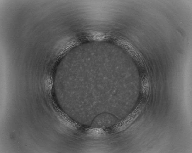 X0000112000374200908241438