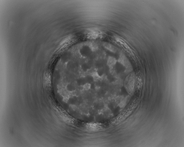 X0000112000375200908241438