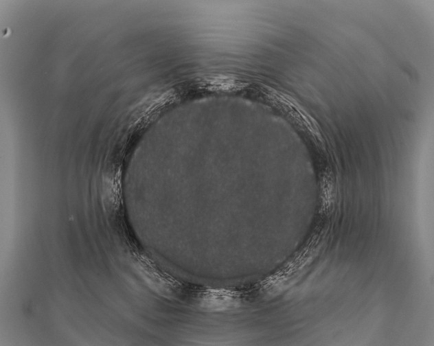 X0000112000376200908241438