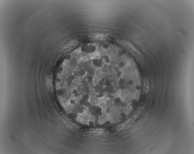 X0000112000377200908241438