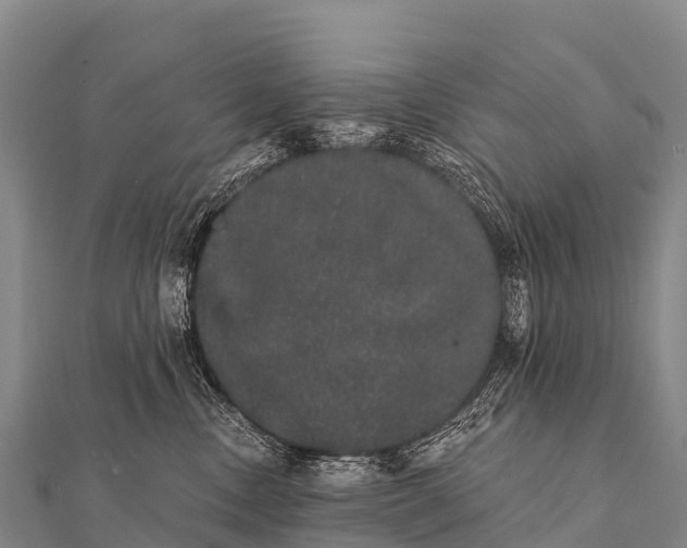 X0000112000378200908241438