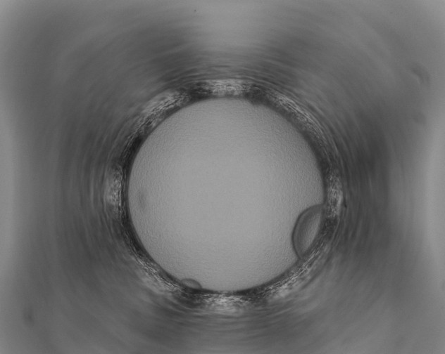 X0000112000379200908241438