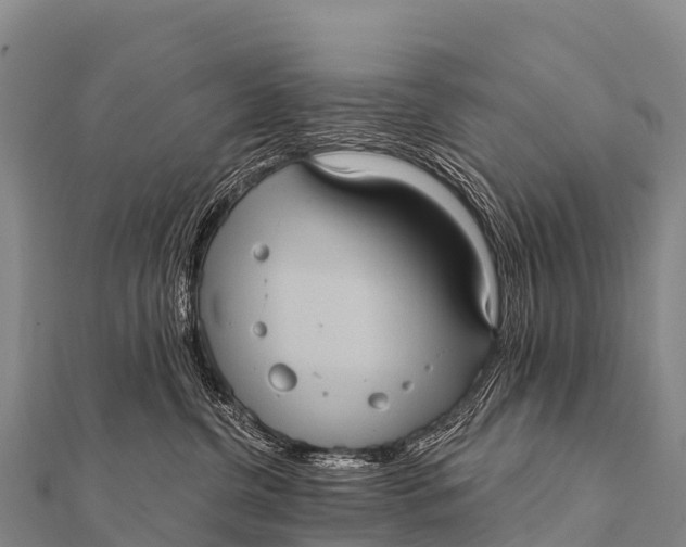 X0000112000380200908241438