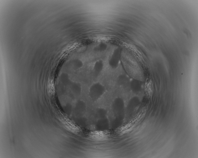 X0000112000381200908241438