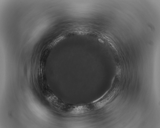 X0000112000382200908241438