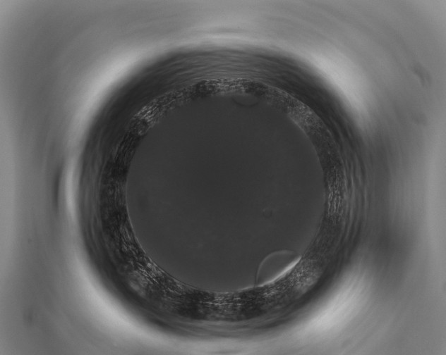 X0000112000383200908241438