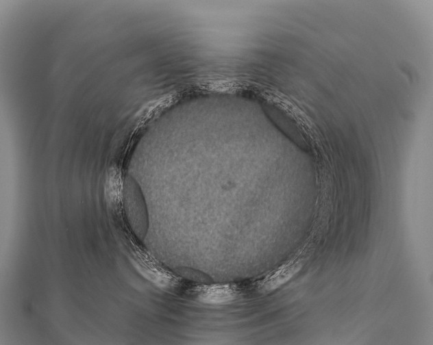 X0000112000384200908241438