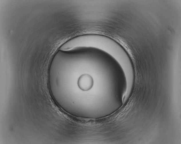 X0000112000385200908241437