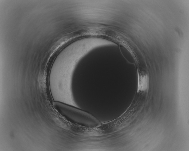 X0000112000387200908241437