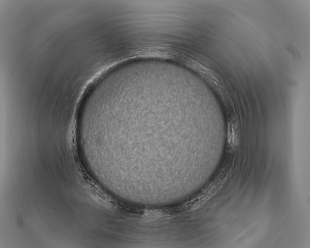 X0000112000388200908241437