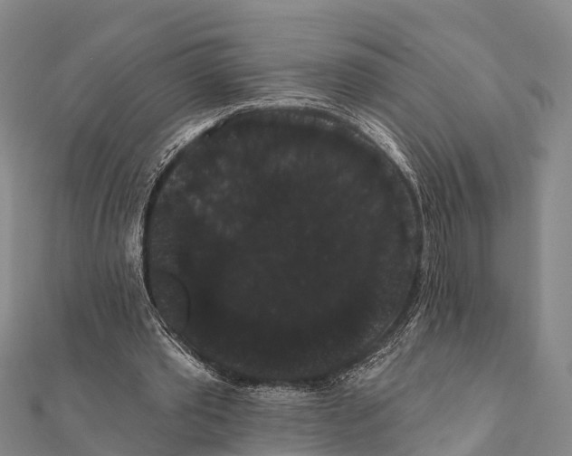 X0000112000389200908241437