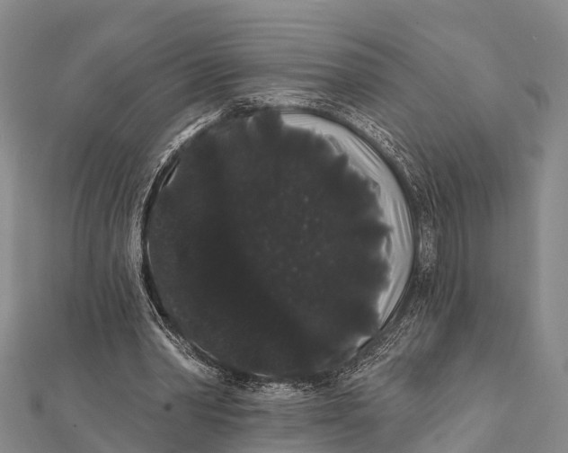 X0000112000390200908241437