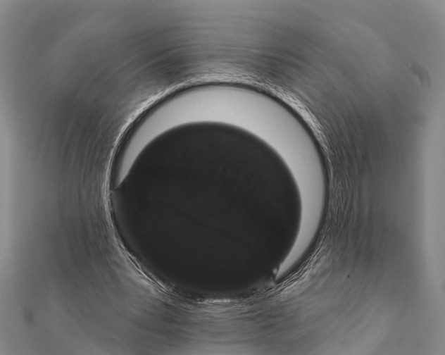 X0000112000391200908241437