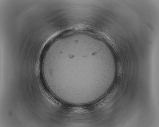 X0000112000392200908241437