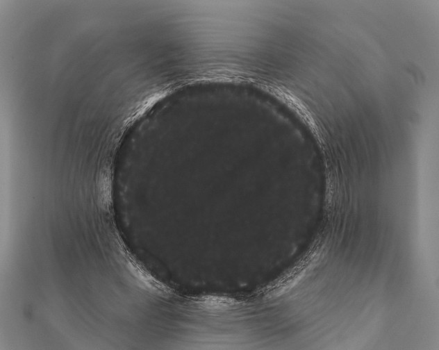 X0000112000393200908241437