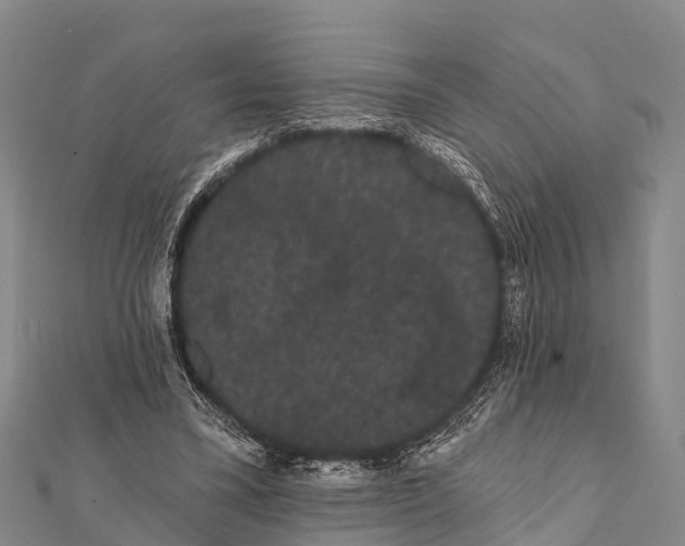 X0000112000395200908241437