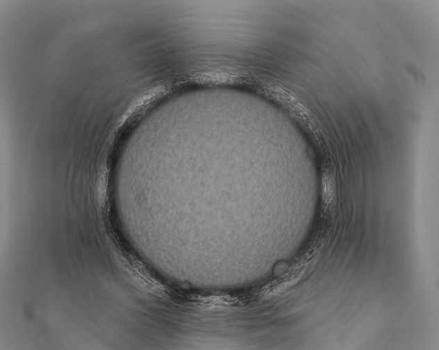 X0000112000396200908241437