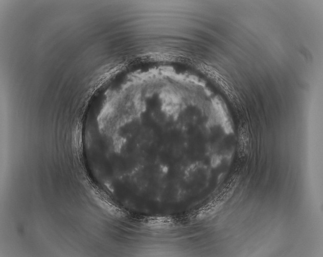 X0000112000398200908241437