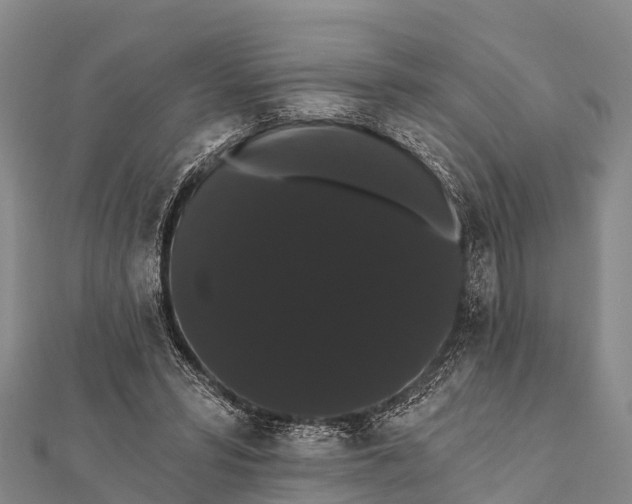 X0000112000399200908241437