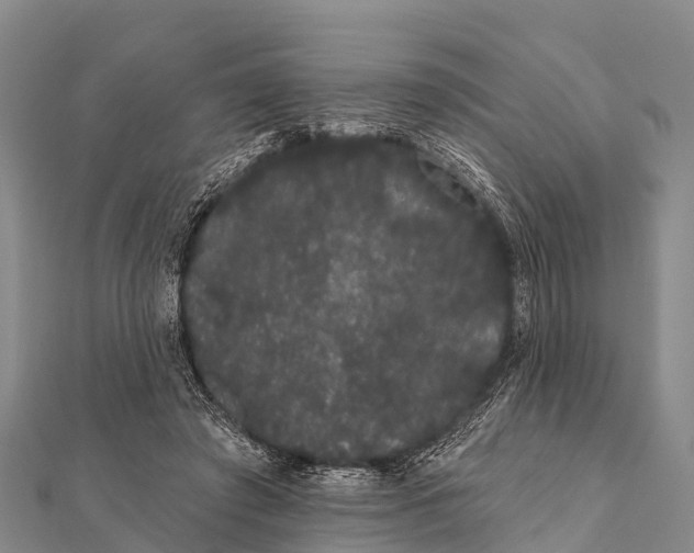 X0000112000401200908241437