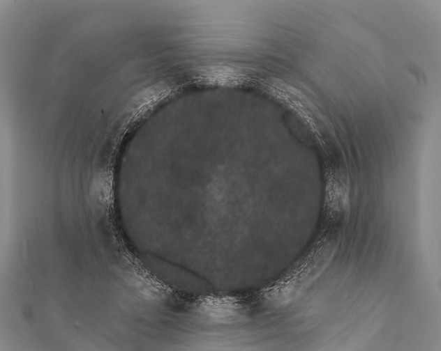 X0000112000403200908241437