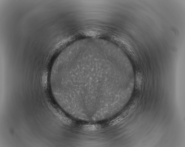 X0000112000404200908241437