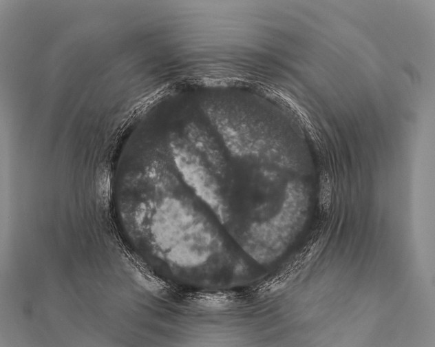 X0000112000405200908241437