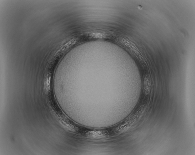 X0000112000406200908241437