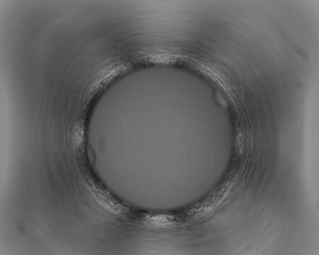 X0000112000407200908241437